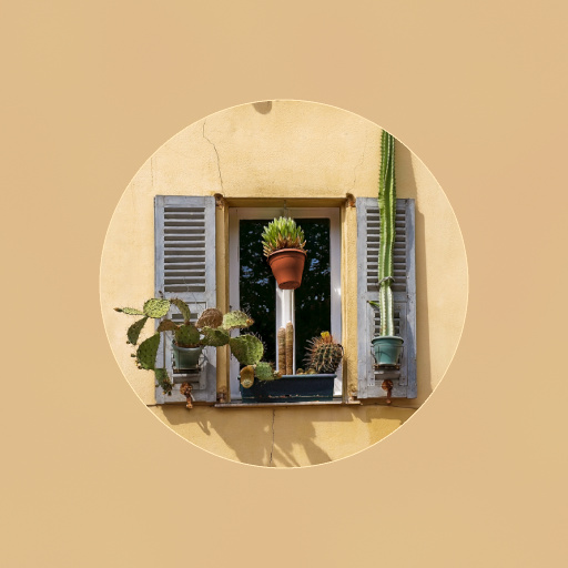 Passepartout II