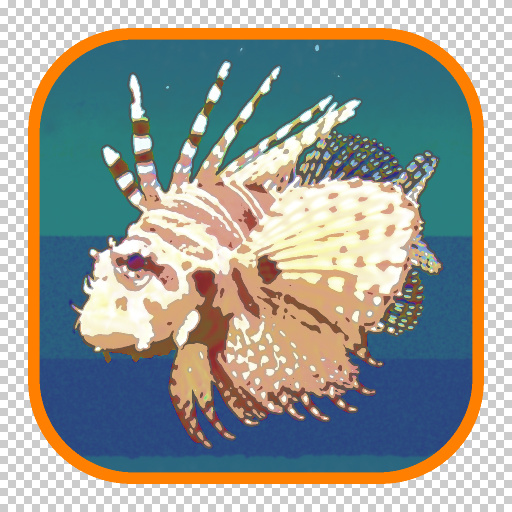 Hall of Frame : Thumbnailizer