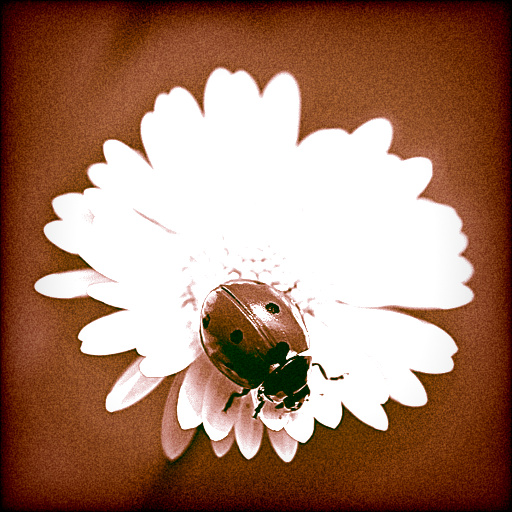 Variation 2