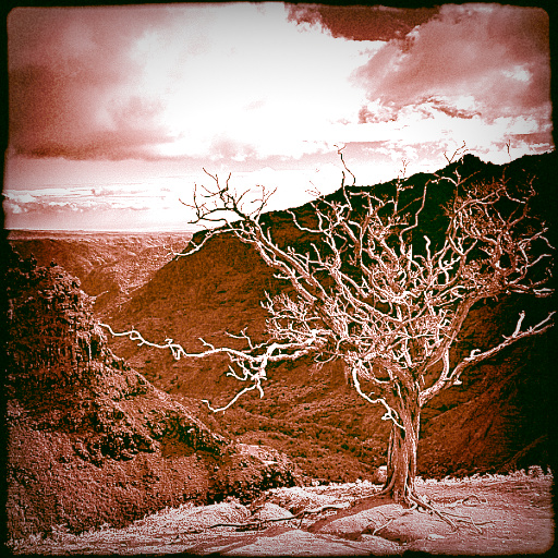 Variation 4