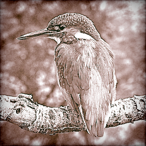 Variation 5