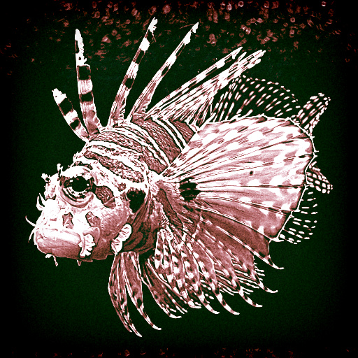 Variation 7