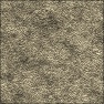 Elephant skin
