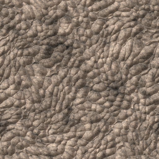 Variation 6