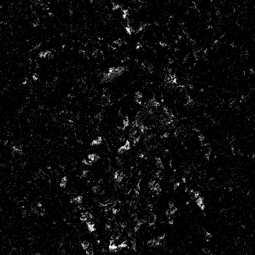 Reflective Occlusion Map