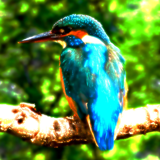 Variation 3
