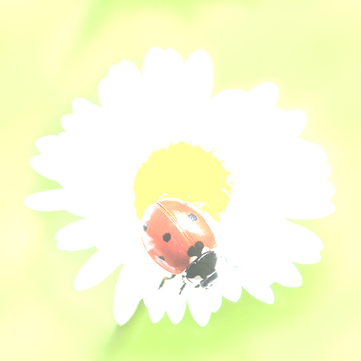 Variation 8