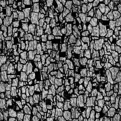 Ambient Occlusion Map