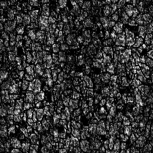 Reflective Occlusion Map