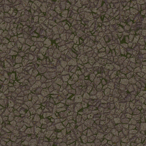 Variation 7