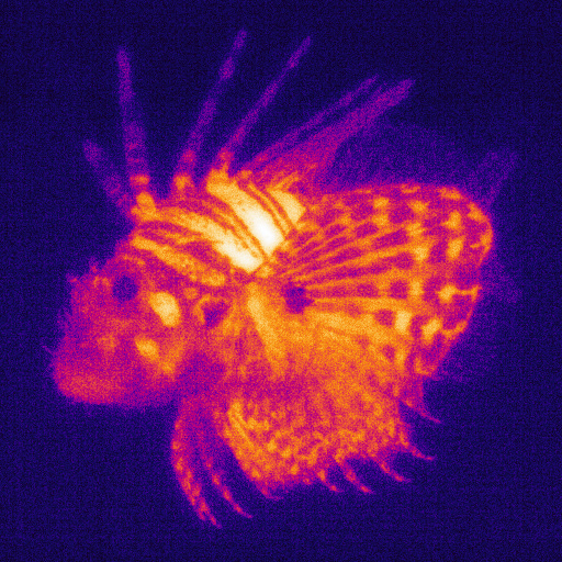 Infrared (Effect)