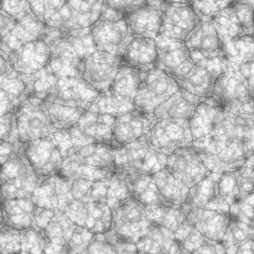 Ambient Occlusion Map