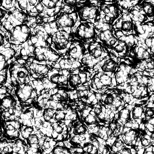 Reflective Occlusion Map