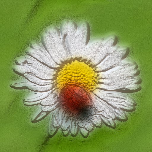 Variation 8