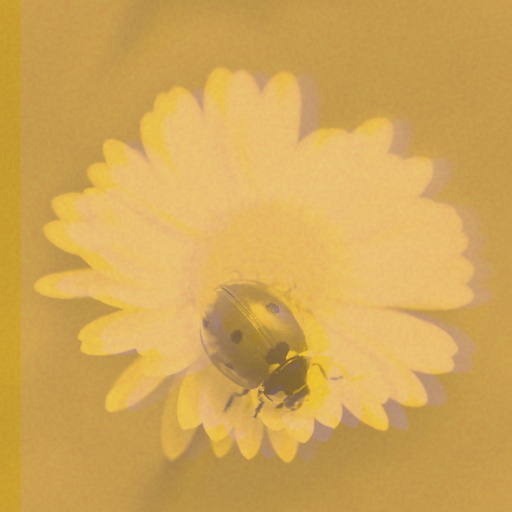 Variation 6