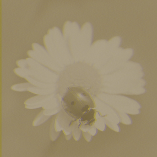 Variation 7