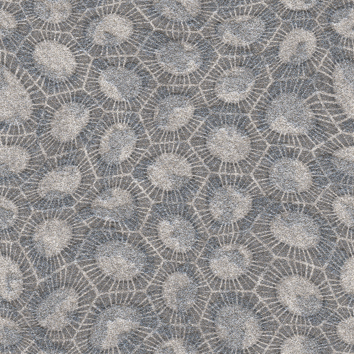 Variation 1