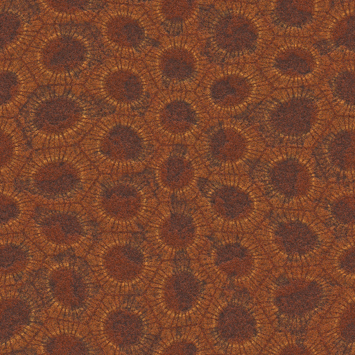 Variation 3