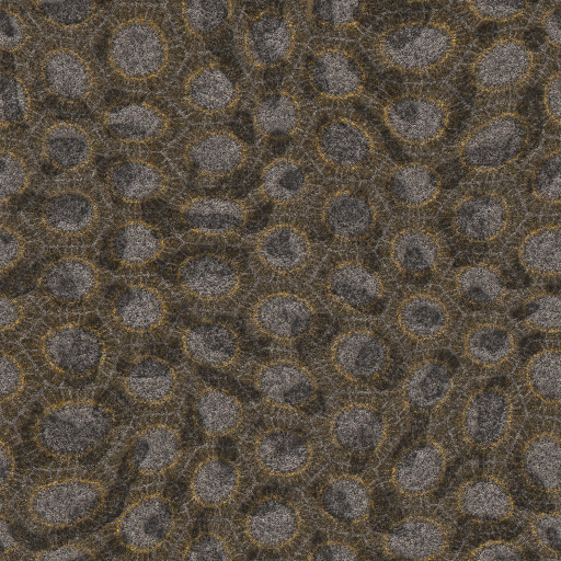Variation 5