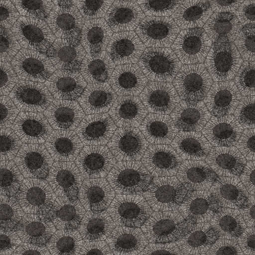 Variation 7