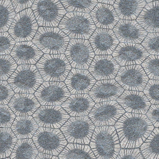Petoskey Stone (Texture)