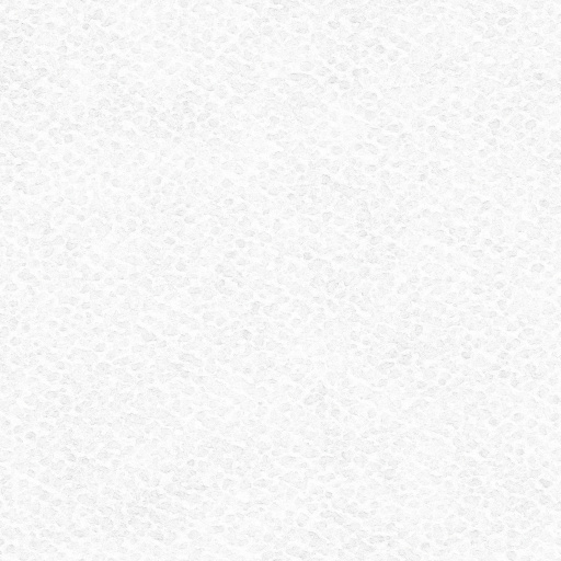 Ambient Occlusion Map