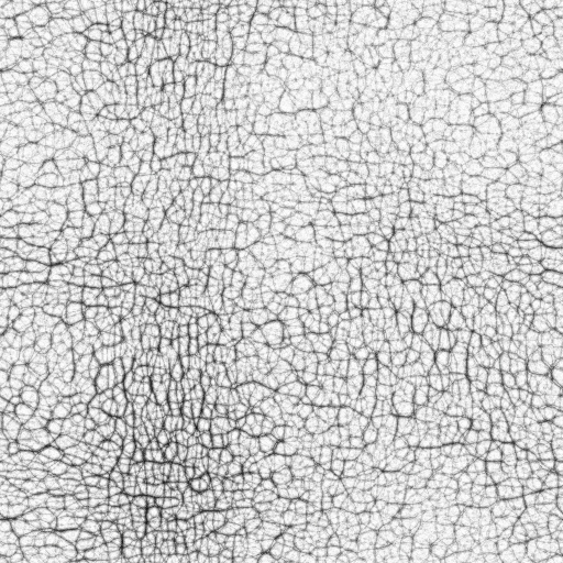 Ambient Occlusion Map