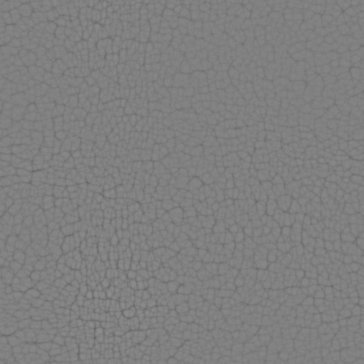 Bump Map