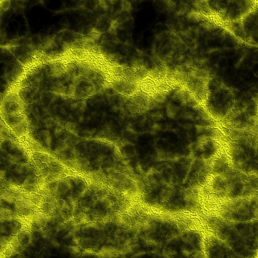 Variation 5