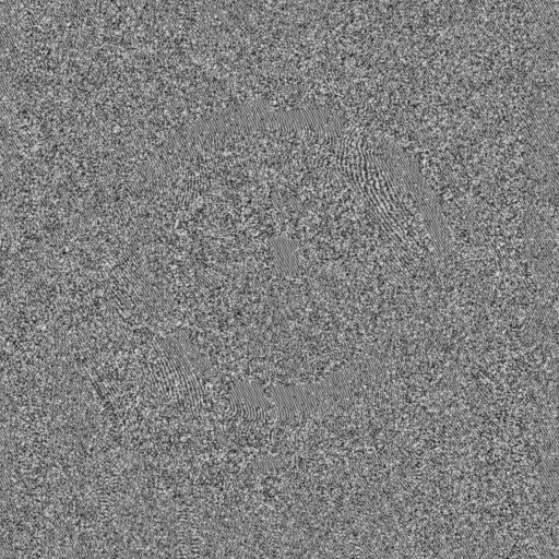 Bump Map