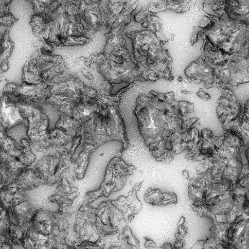 Ambient Occlusion Map