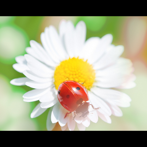 Variation 7