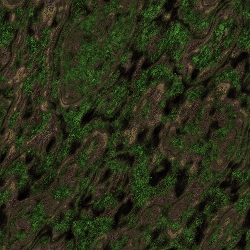 Variation 6