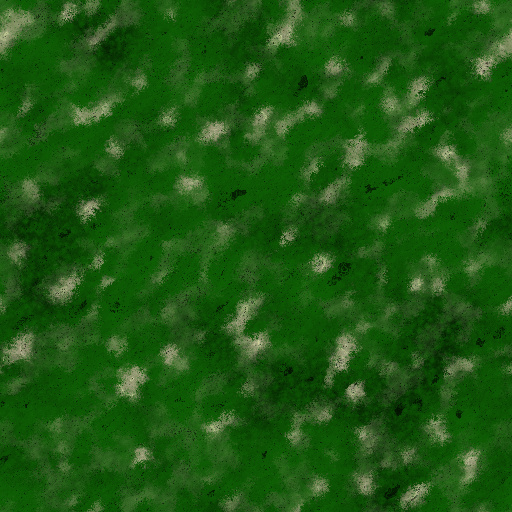 Variation 7