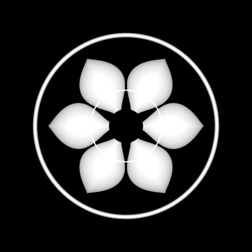 Variation 7