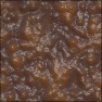 Lizardskin