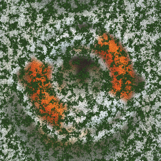 Variation 7