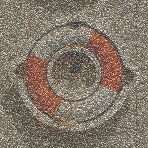 Variation 4