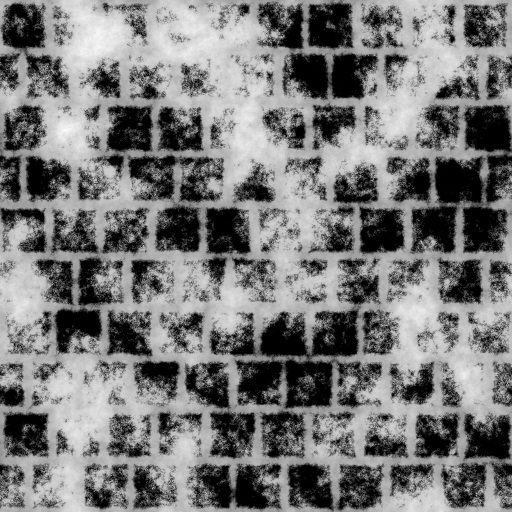 Bump Map