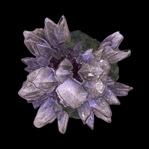 Variation 1