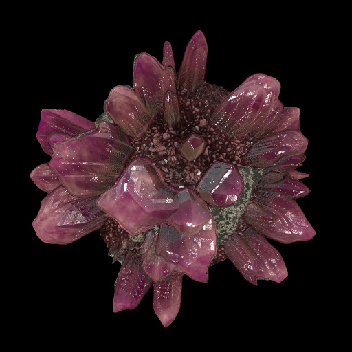 Variation 5