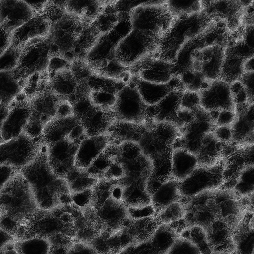 Ambient Occlusion Map