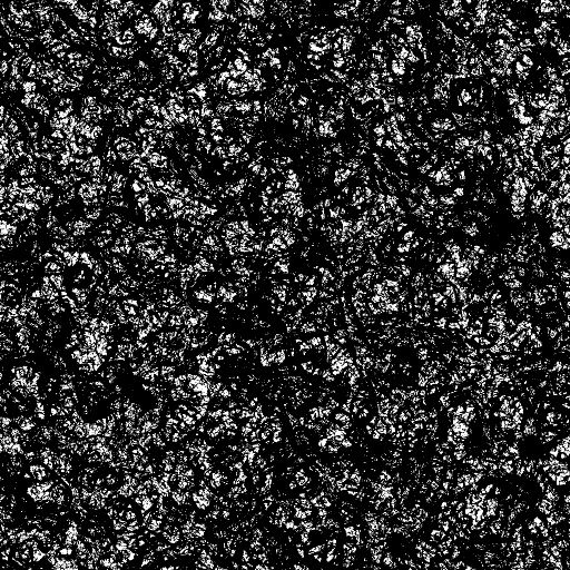 Reflective Occlusion Map