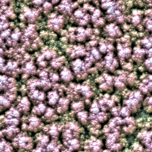 Variation 8