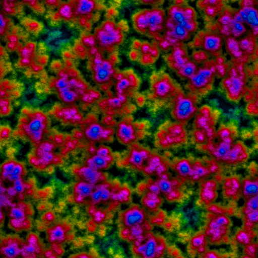 Coral (Texture)