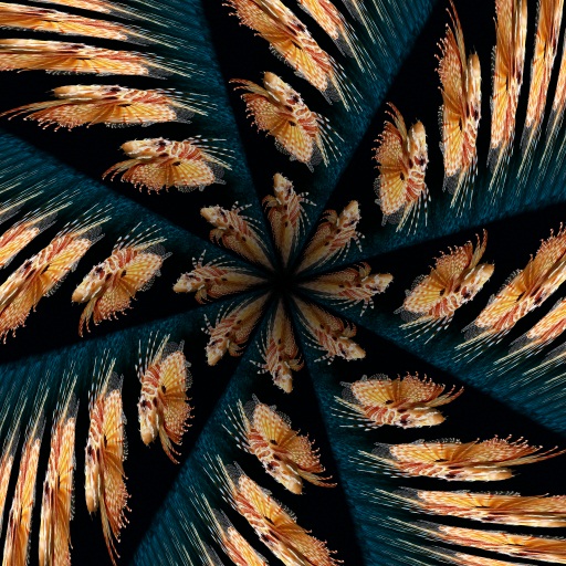 Variation 7