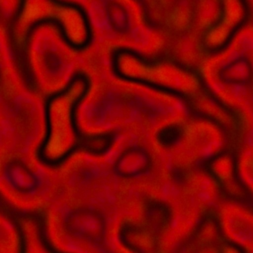 Diffuse Map