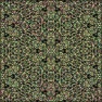 Scale Patterns