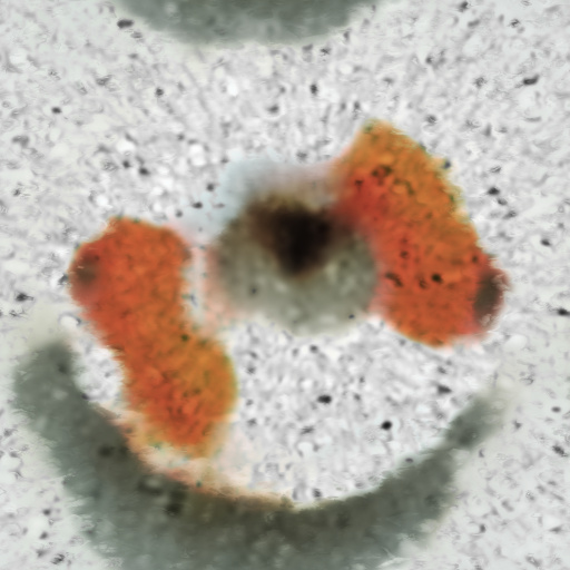 Variation 8