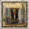 Roots frames with image crackle